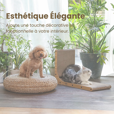 Arbre à chat pour plusieurs chats : guide et conseils
