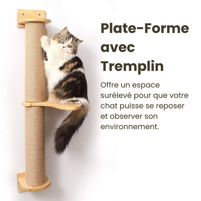 Comment optimiser l'espace avec un arbre à chat dans un petit logement