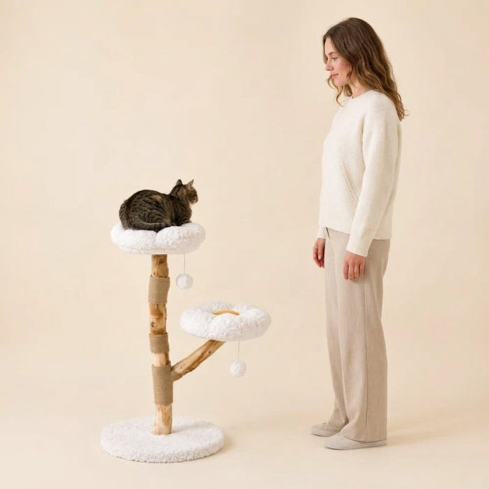 Est-ce nécessaire d'avoir un arbre à chat ? Les besoins