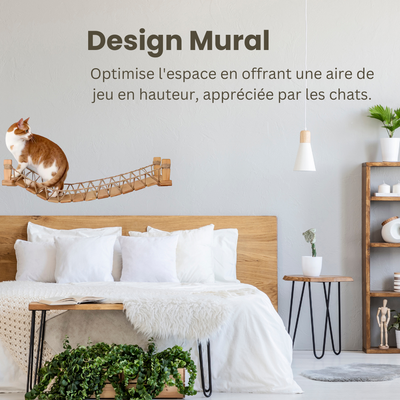 Pourquoi choisir un arbre à chat en bois naturel ?