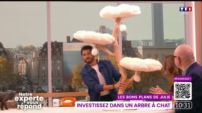 L'arbre à chat Canopée de FéliNature sur le plateau de Bonjour ! avec vous, TF1