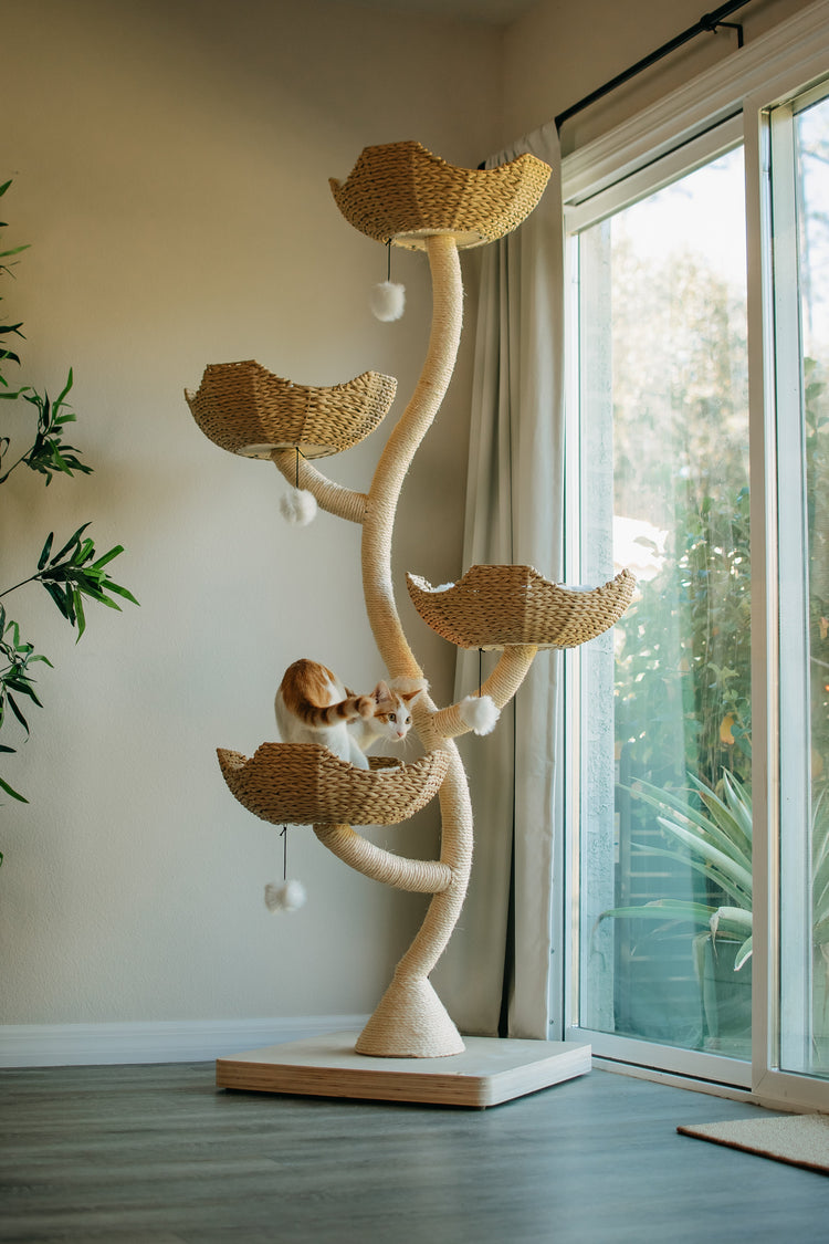 Arbre a chat robuste