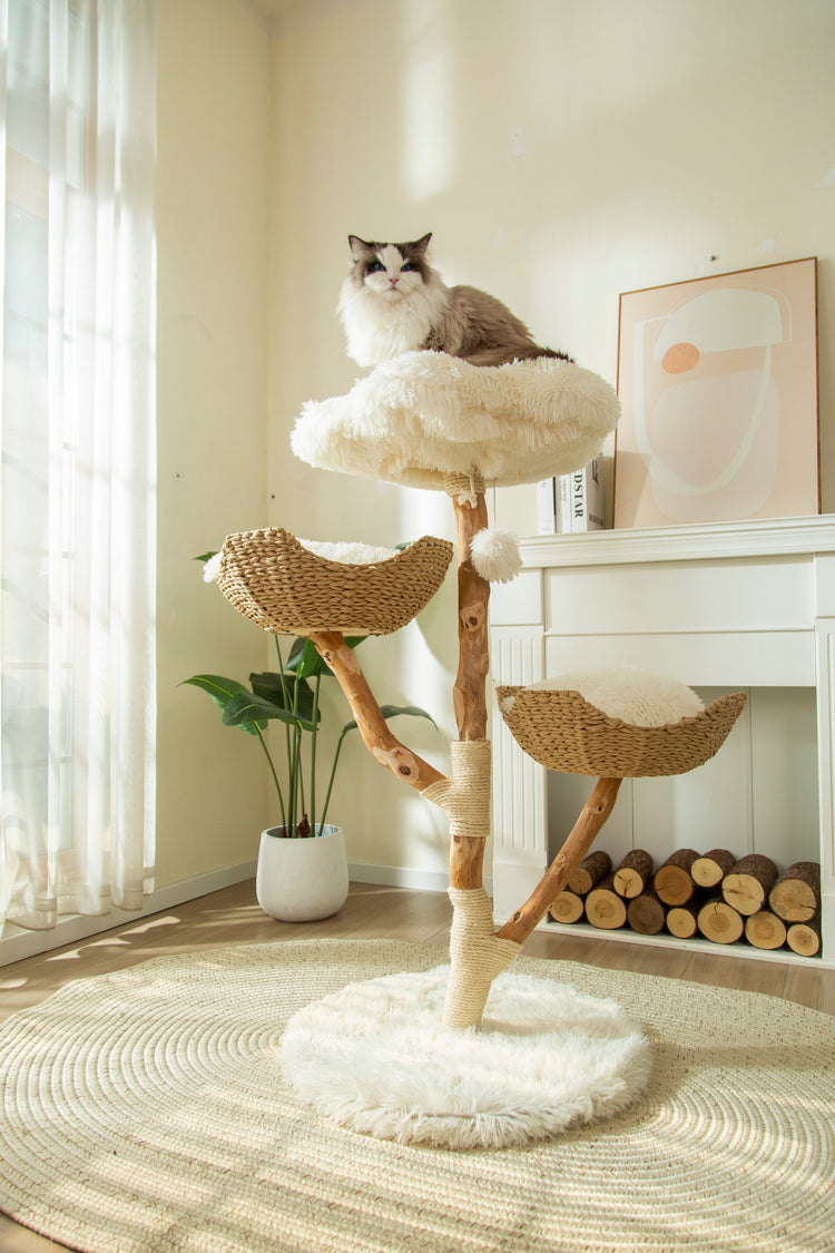 Arbre à chat naturel