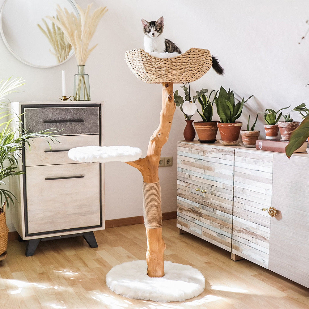 Arbre à Chat en Bois Véritable Naturel – Petit & Design | FéliNature