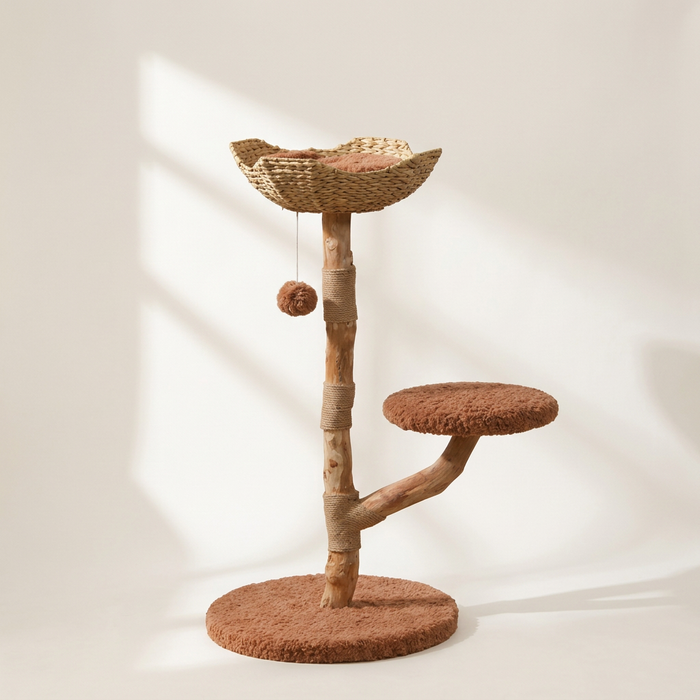 Arbre à Chat Bois | L'Orée