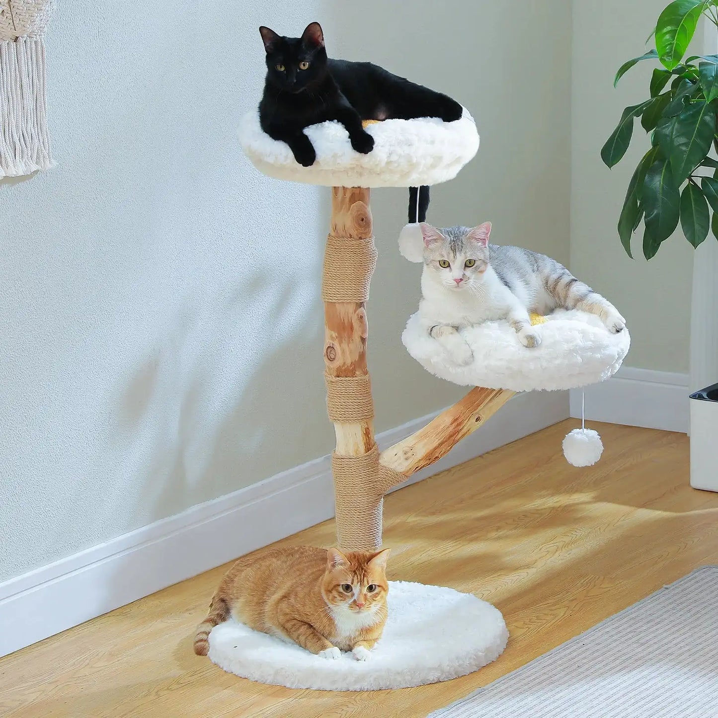 Un chat noir se perche au sommet de l'Arbre à Chat en Bois Naturel Numa de FéliNature, un chat gris et blanc se détend au niveau intermédiaire, et un chat tabby orange se repose sous cet arbre élégant avec deux lits en peluche et une balle jouet suspendue.