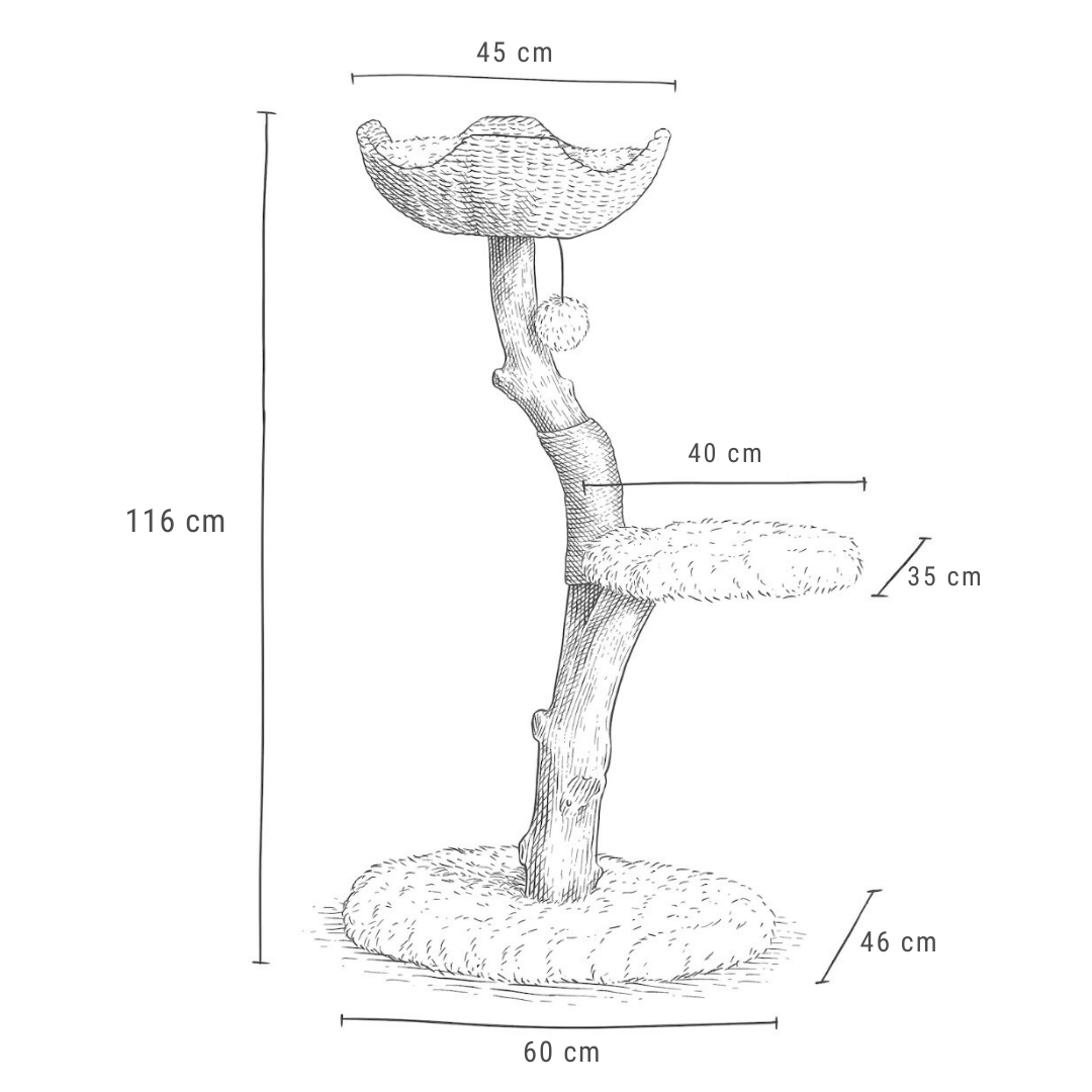 Arbre à Chat en Bois Véritable Naturel – Petit & Design | FéliNature