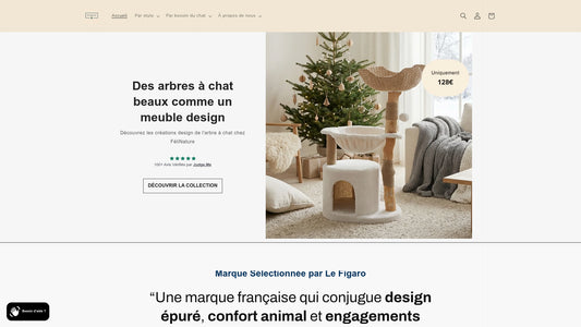 Arbre à chat écologique : guide d'achat bois naturel durable