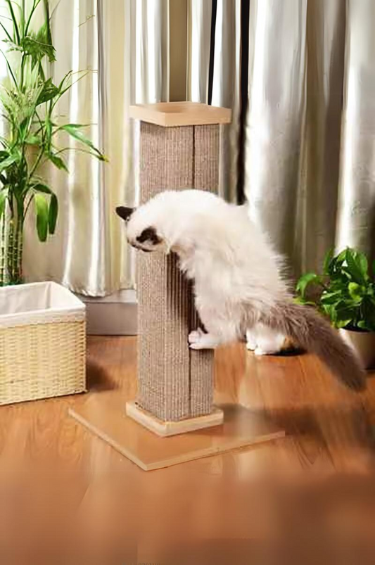 Arbre à chat peu encombrant : top choix pour petit espace