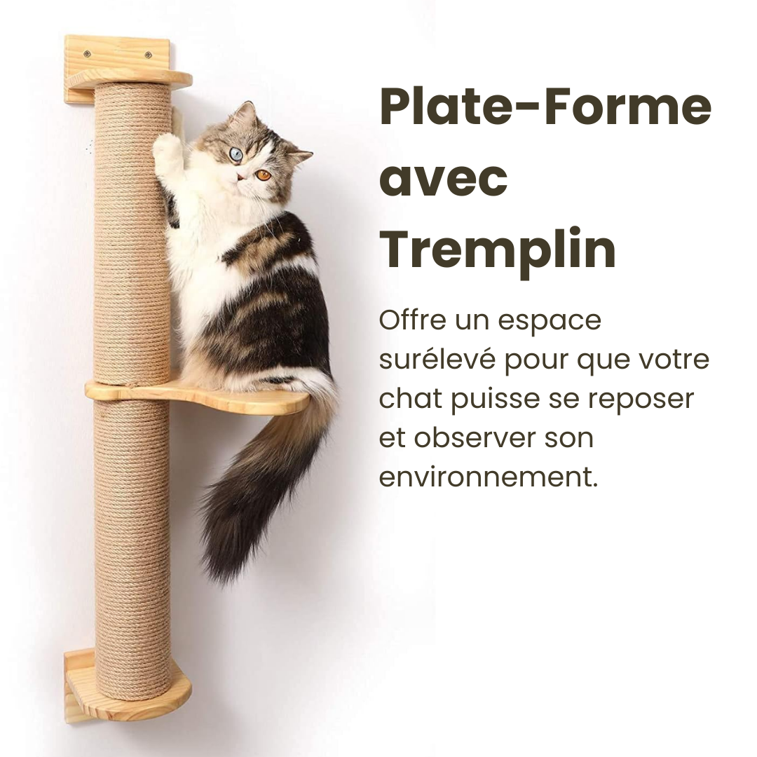 Comment optimiser l'espace avec un arbre à chat dans un petit logement