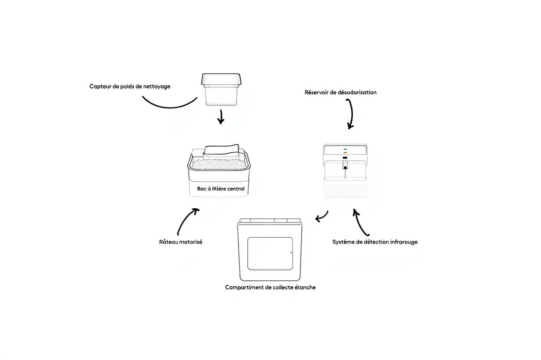 Comment fonctionne une litière autonettoyante pour chat