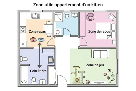 Chaton : comment bien s'occuper et prendre soin de lui
