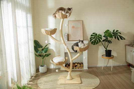 Comment choisir un arbre à chat pour adulte : taille et critères