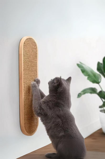 Arbres à chat en bois naturel mural : guide d'achat 2026