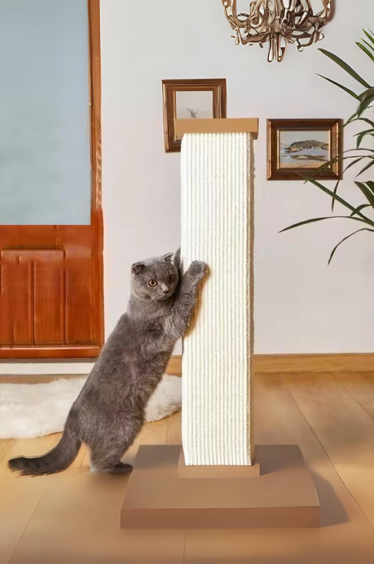 Comment bien choisir un arbre à chat : guide complet