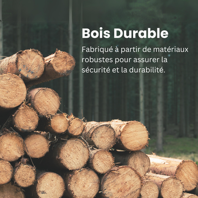 Arbre à chat bois massif de qualité : guide des meilleurs modèles