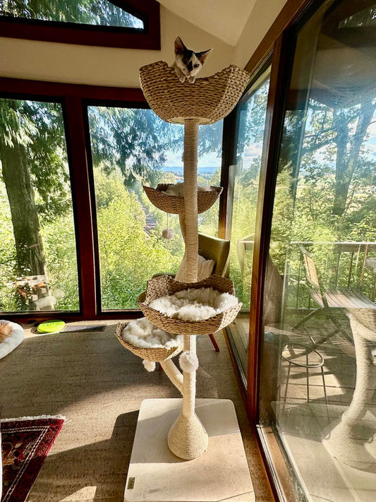 Comment stabiliser un arbre à chat en toute sécurité