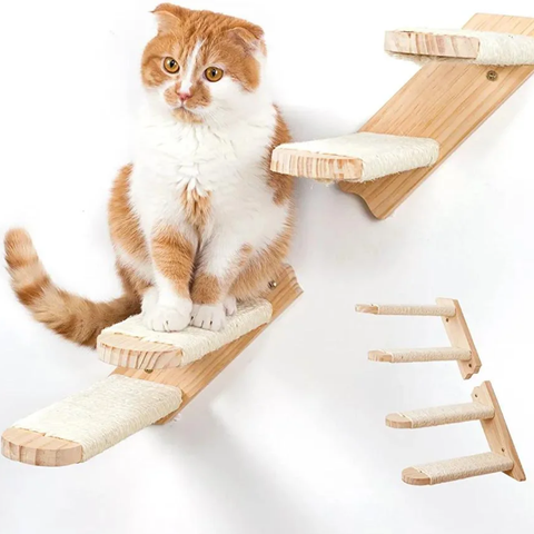 Taille arbre à chat maine coon : guide pour grands chats