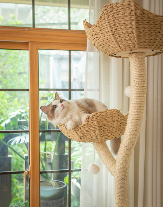 Arbre à chat moderne : meuble design pour votre félin