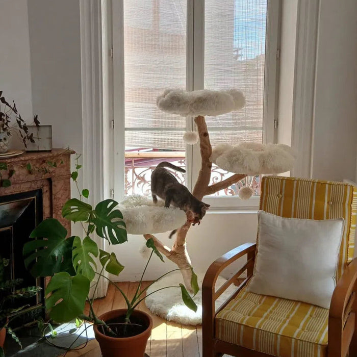 Accessoires chat design : bien choisir mobilier et matières