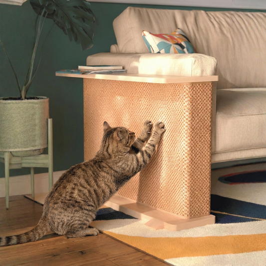 Griffoir pour chat en carton : guide d'achat comparatif 2026