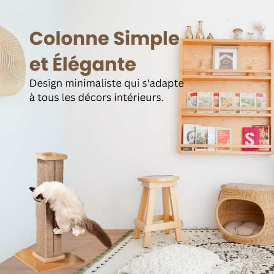Aménager son intérieur pour un chat d'appartement heureux
