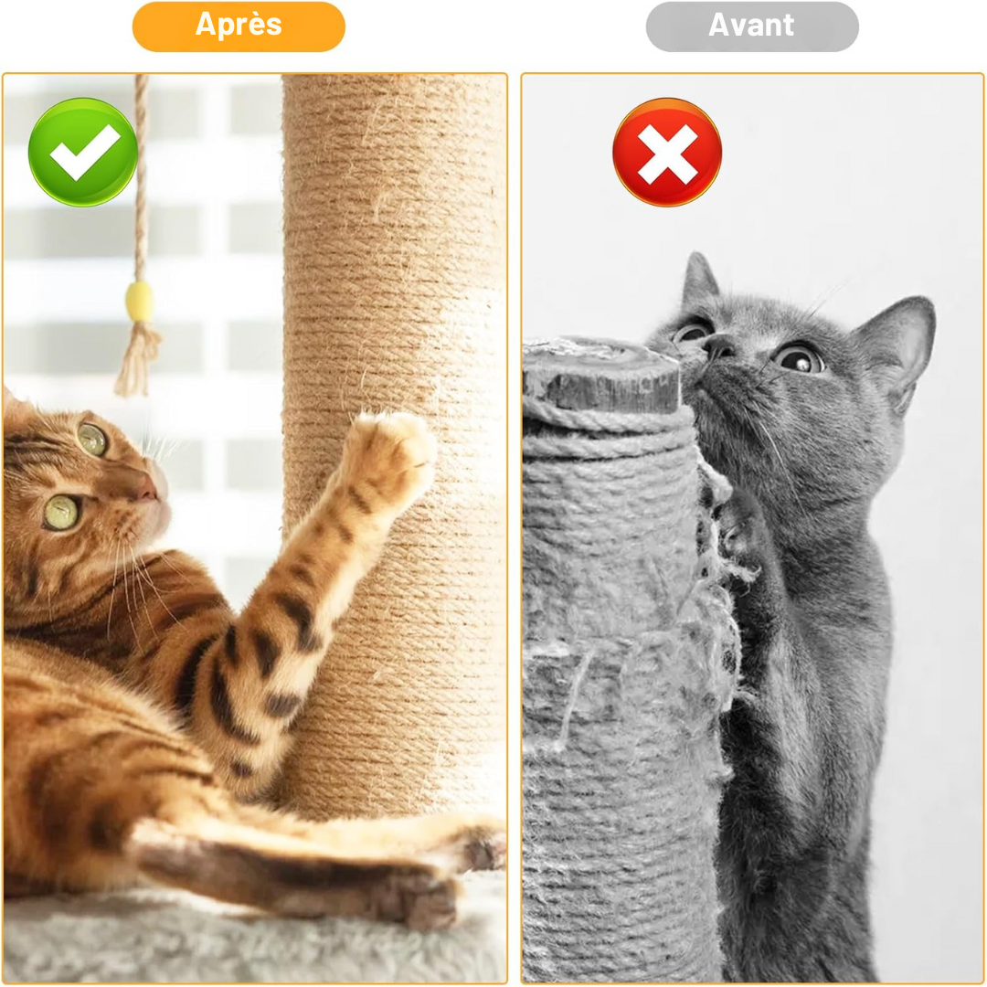 Répulsif chat griffe canapé : spray et solutions naturelles