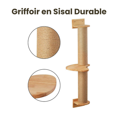 Comment attirer un chat sur son arbre à chat facilement
