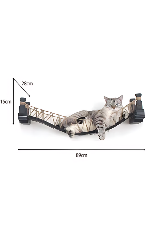 Chat instinct naturel et confort : créer l'espace idéal