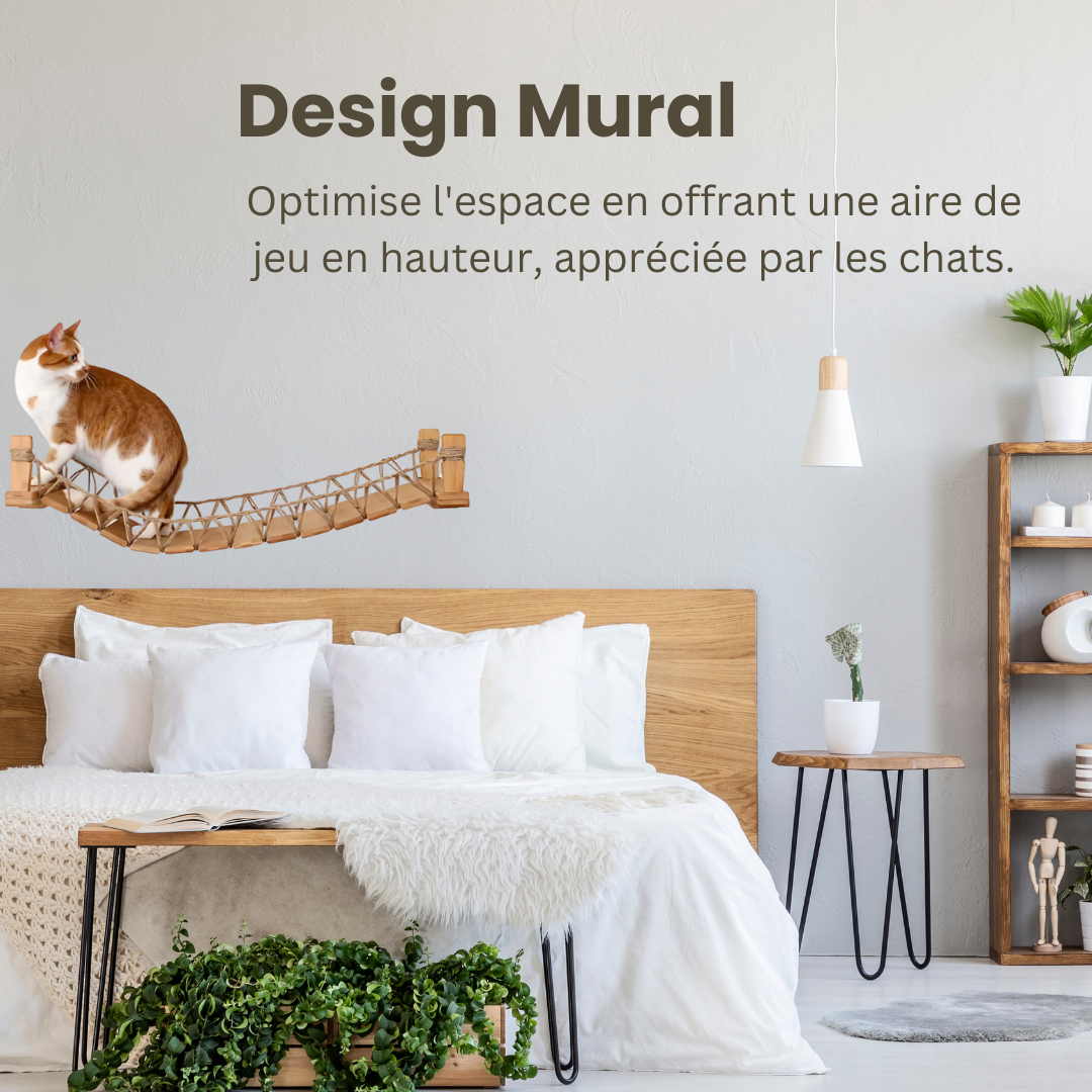 Pourquoi choisir un arbre à chat en bois naturel ?