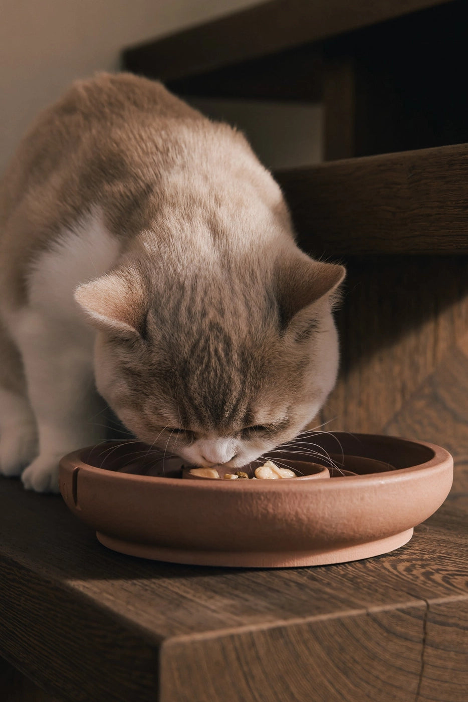 Gamelles Anti-Glouton I PINO I Fabriqué en Belgique.