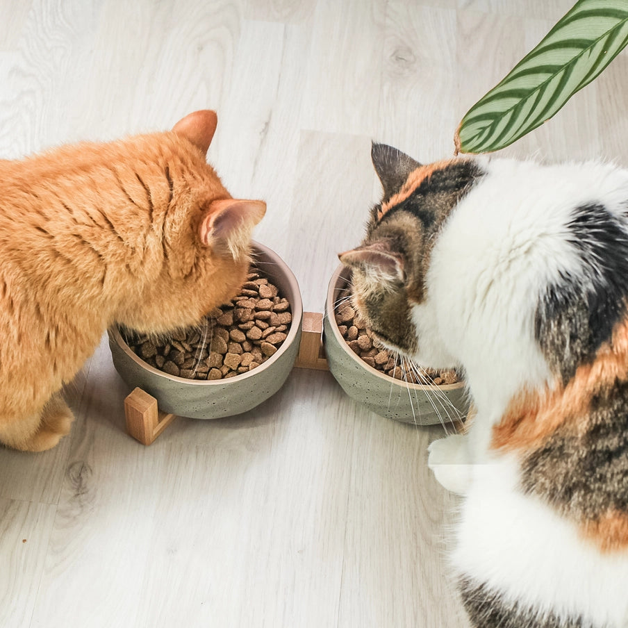 Gamelle Double pour Chat - Céramique Aspect Pierre & Support Bambou I FéliNature.