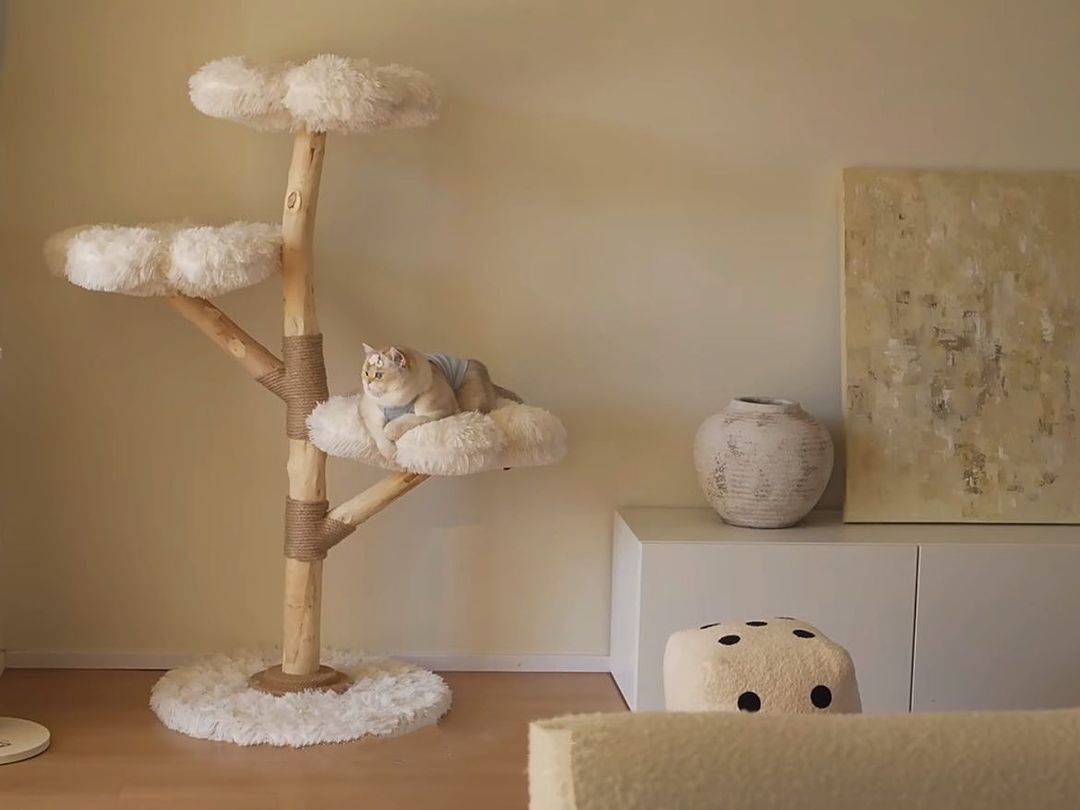 Arbre à Chat en Bois Massif – Compact et Moderne