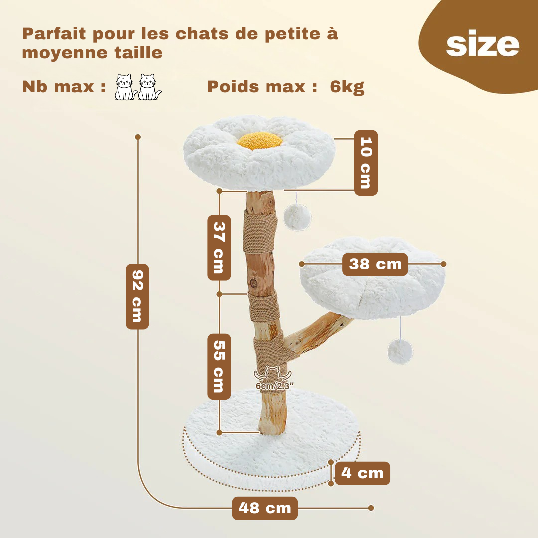 L'Arbre à Chat en Bois Naturel Numa de FéliNature offre deux plateformes fleuries et deux pompons suspendus. Hauteur 92cm, base 48cm, pour chats jusqu'à 6kg. Élégance et confort pour vos petits félins !.