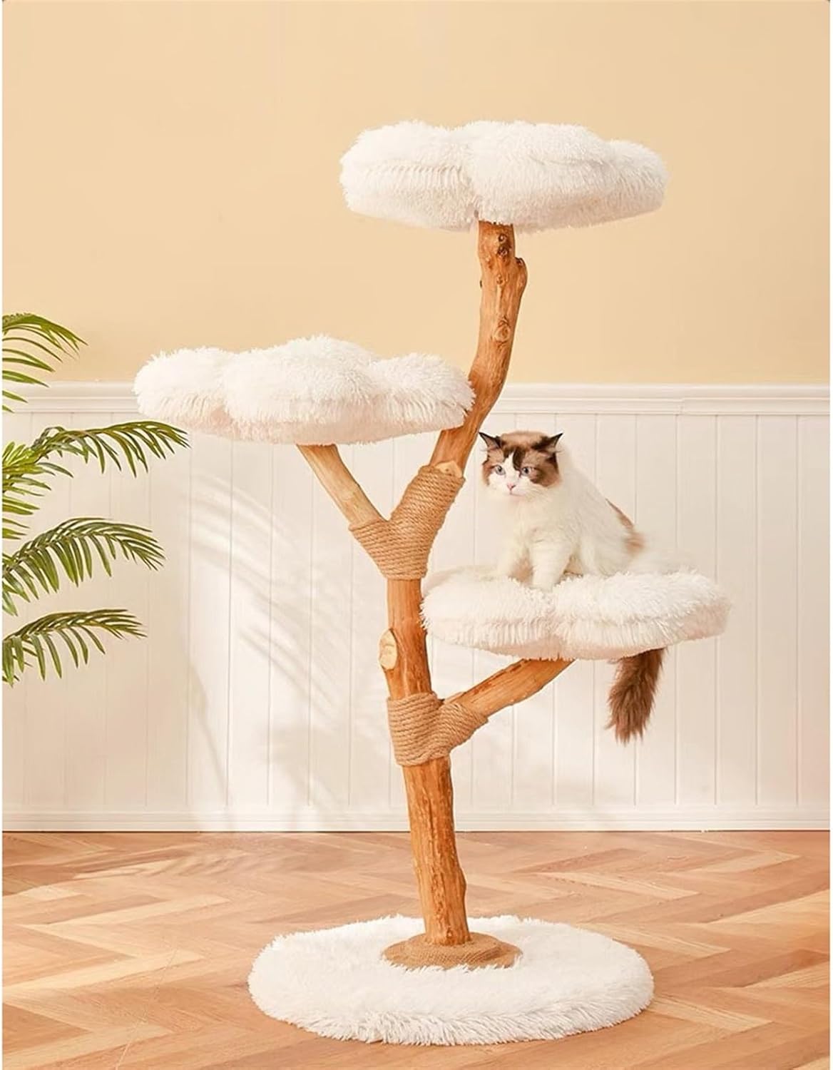 Arbre à Chat en Bois Massif – Compact et Moderne