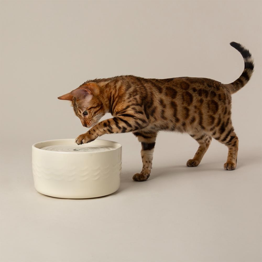 Fontaine à eau en céramique crème pour chat