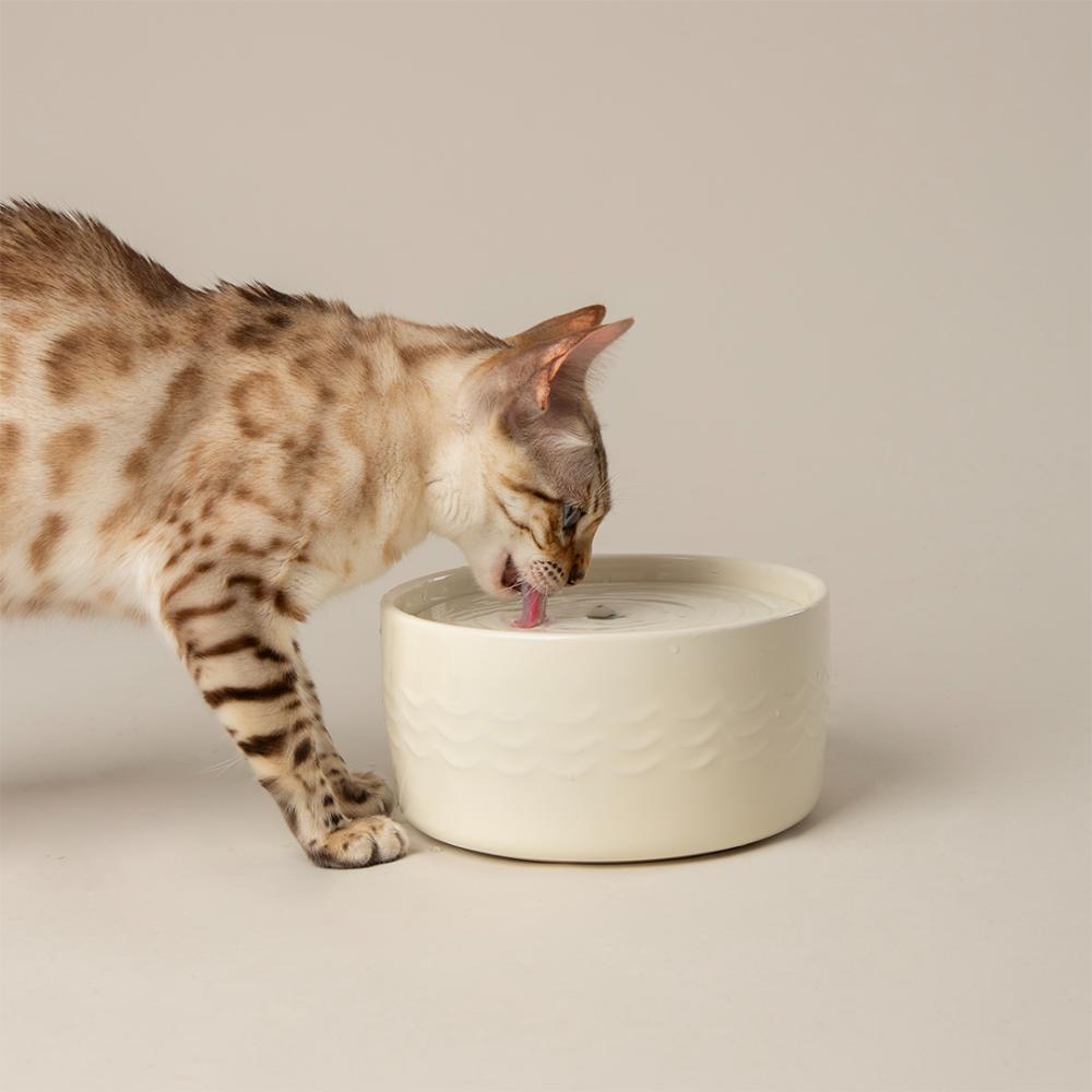 Fontaine à eau en céramique crème pour chat
