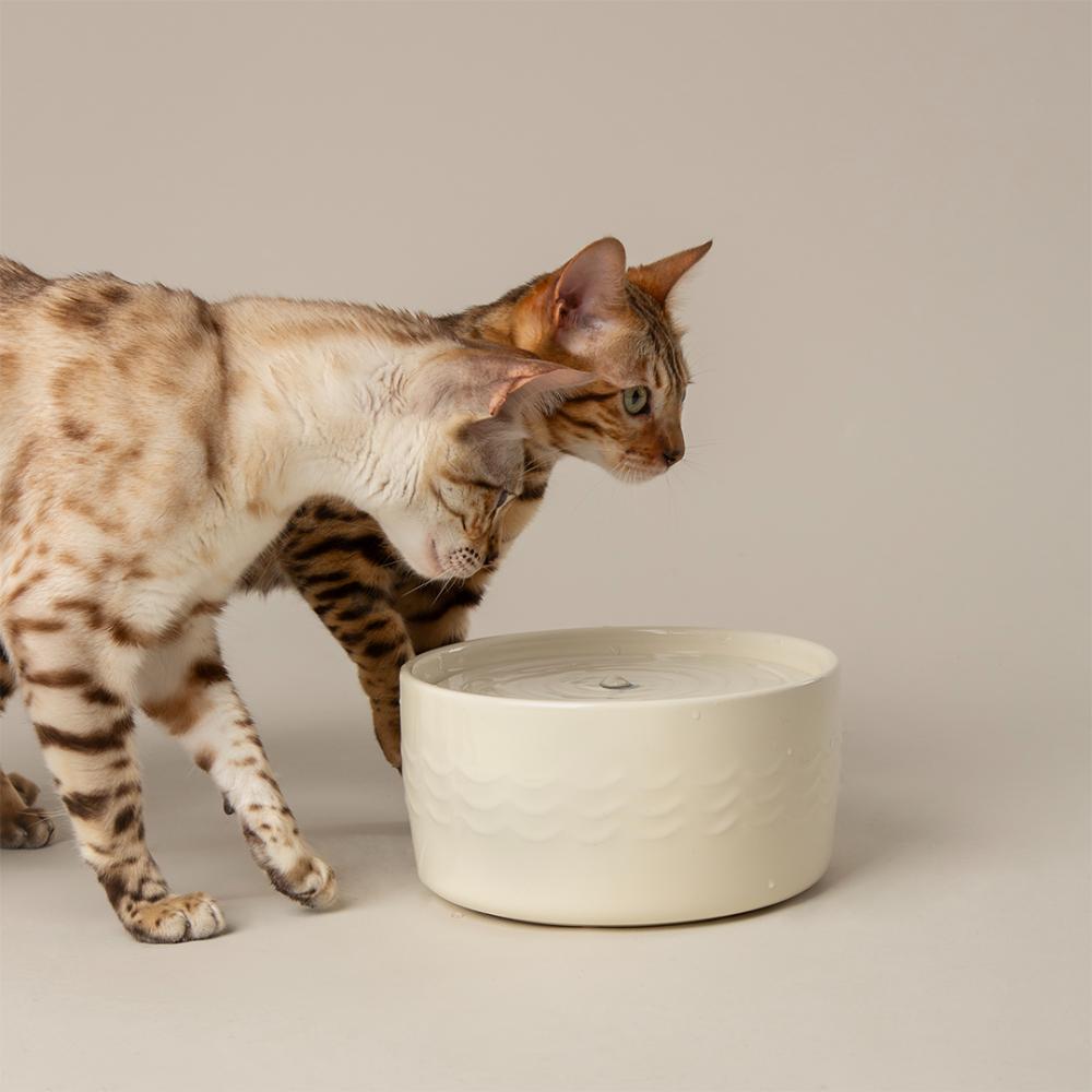 Fontaine à eau en céramique crème pour chat
