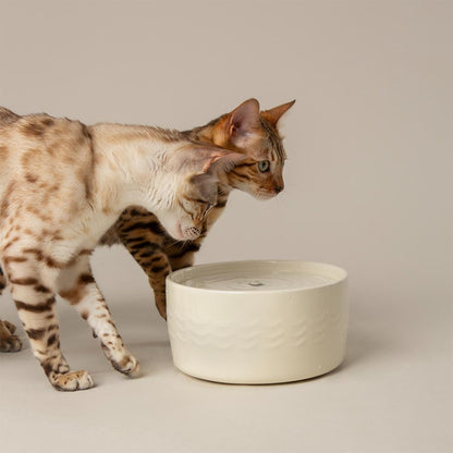 Fontaine à eau en céramique crème pour chat