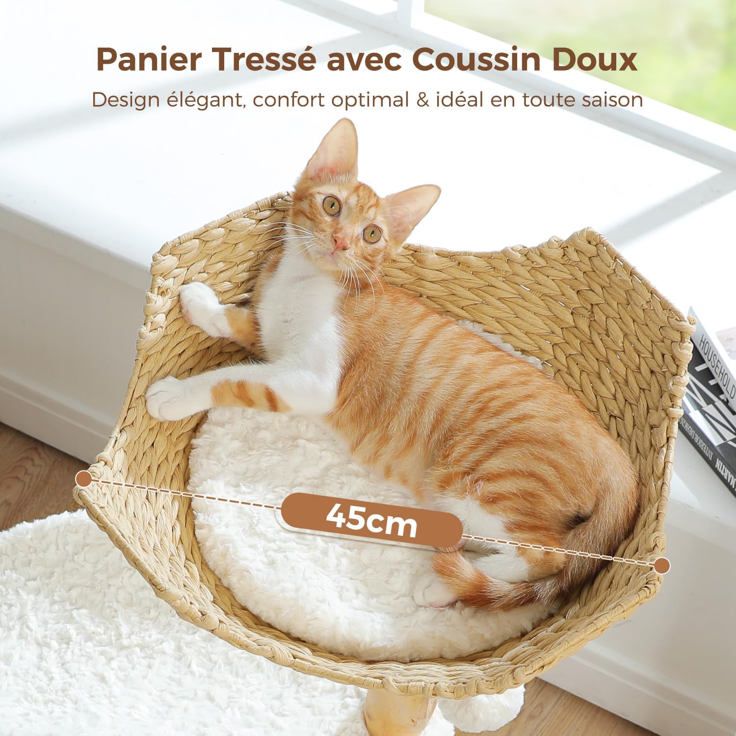 Arbre à Chat Petit Panier pour Chats | Néva | Véritable Branche en Bois Naturel | FéliNature.