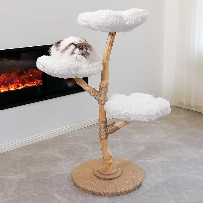 Arbre à Chat en Bois Massif – Compact et Moderne