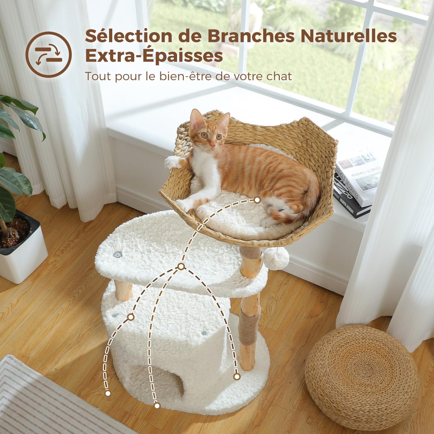 Arbre à Chat Petit Panier pour Chats | Néva | Véritable Branche en Bois Naturel | FéliNature.