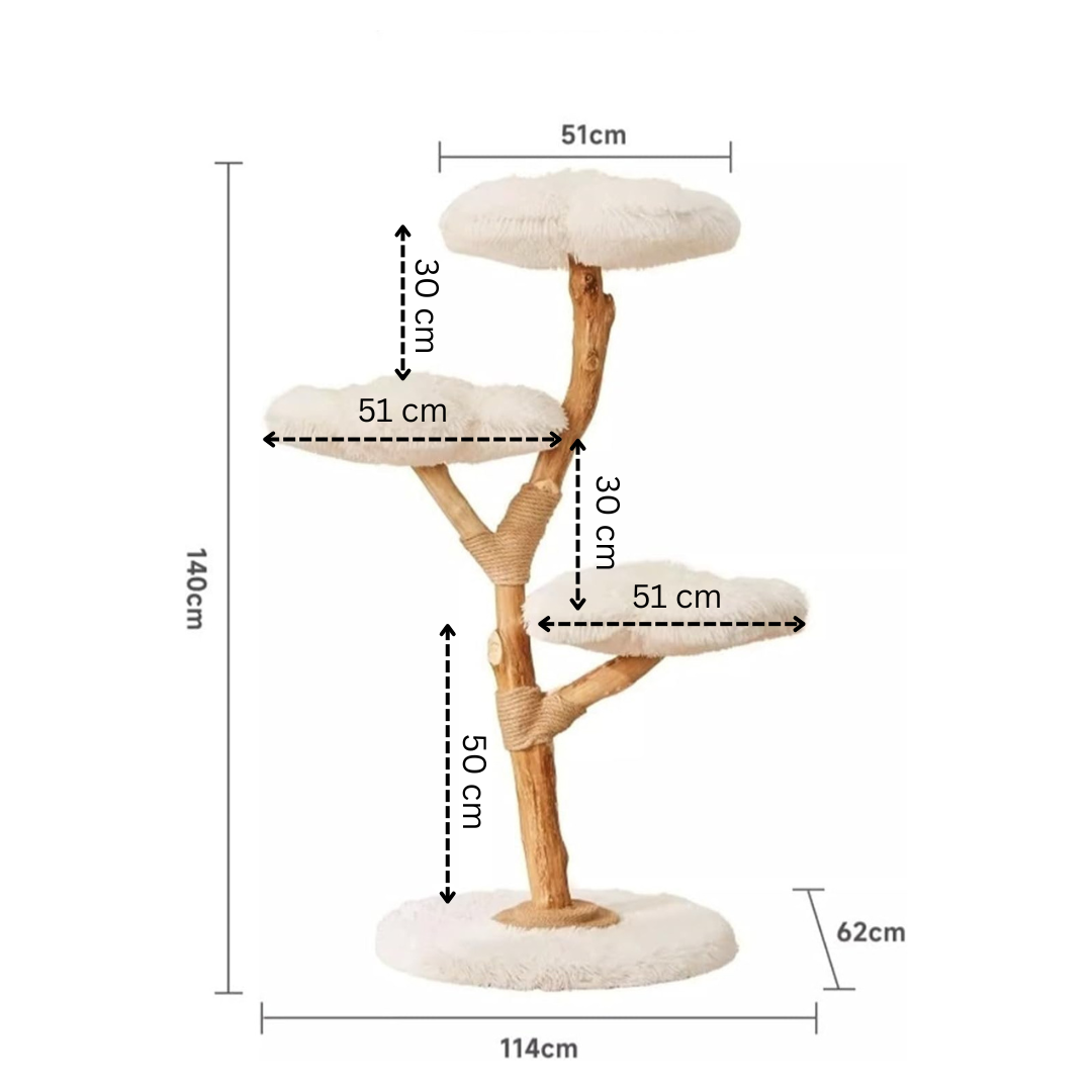 Arbre à Chat Bois | Canopée - FéliNature