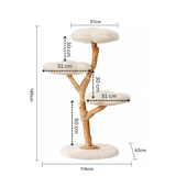 Arbre à Chat Bois | Canopée - FéliNature
