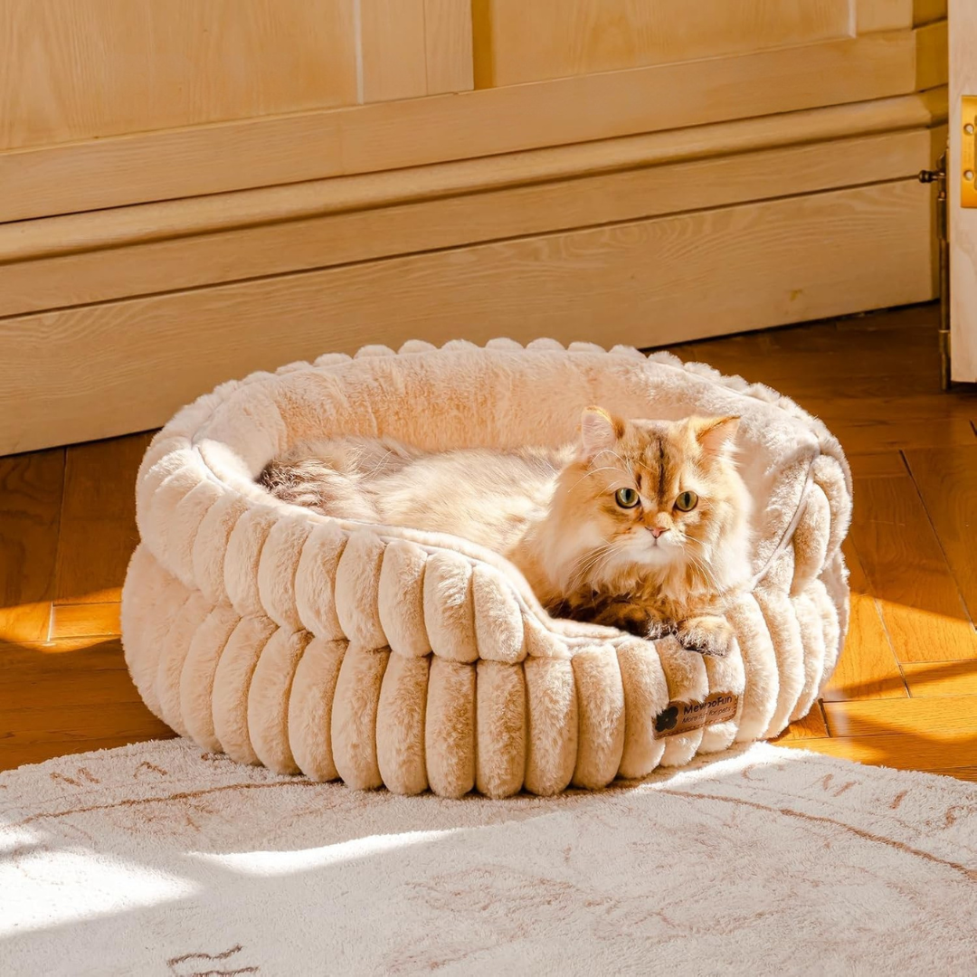 Un chat poilu marron clair se détend dans le Panier Chat Moelleux de FéliNature, un panier beige doux et rassurant, posé sur un plancher en bois à côté d'un tapis blanc dans une pièce ensoleillée.