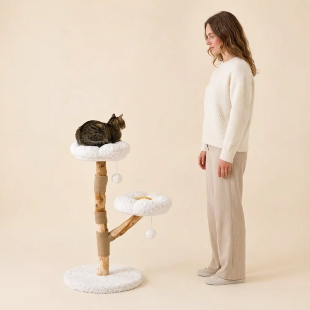 Arbre à Chat Bois | Numa