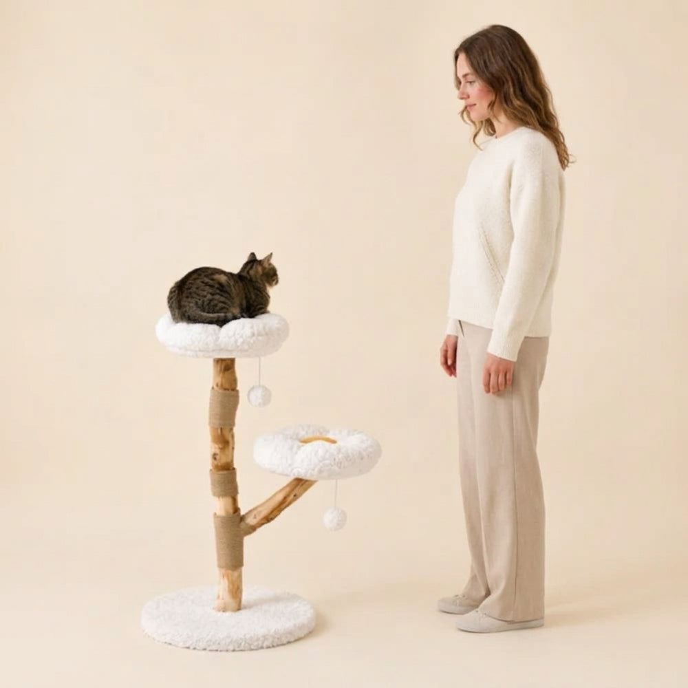 Pensé pour les petits espaces