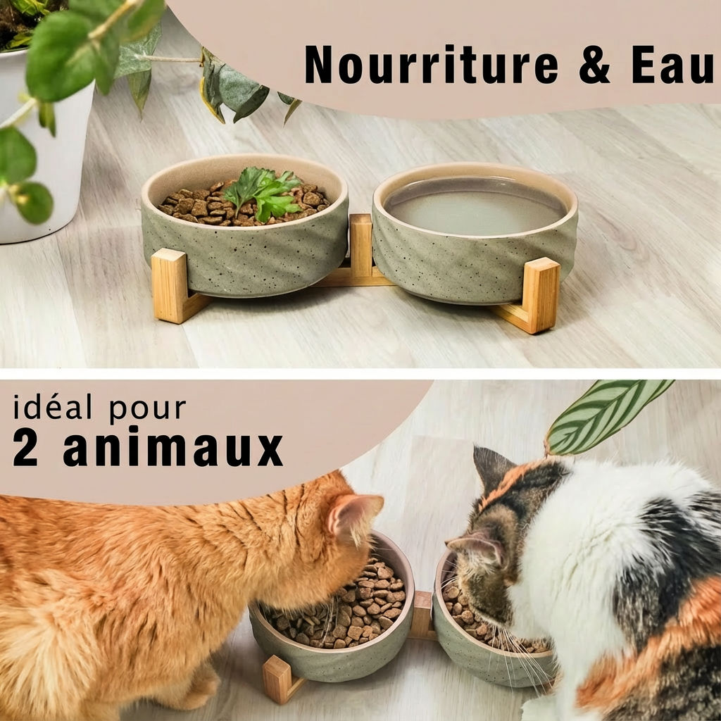 Gamelle Double pour Chat - Céramique Aspect Pierre & Support Bambou I FéliNature.