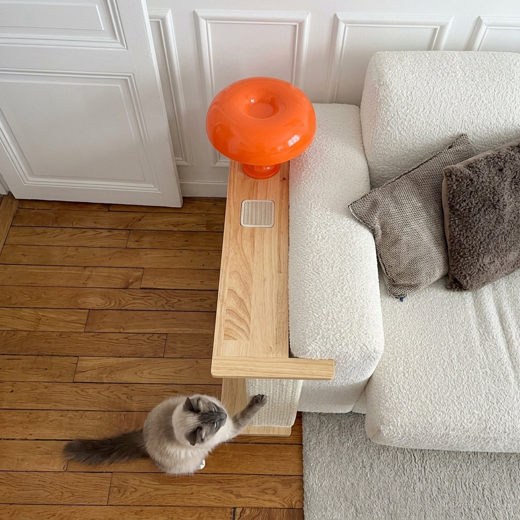 Chat griffant le tapis sisal du Rempart - FéliNature