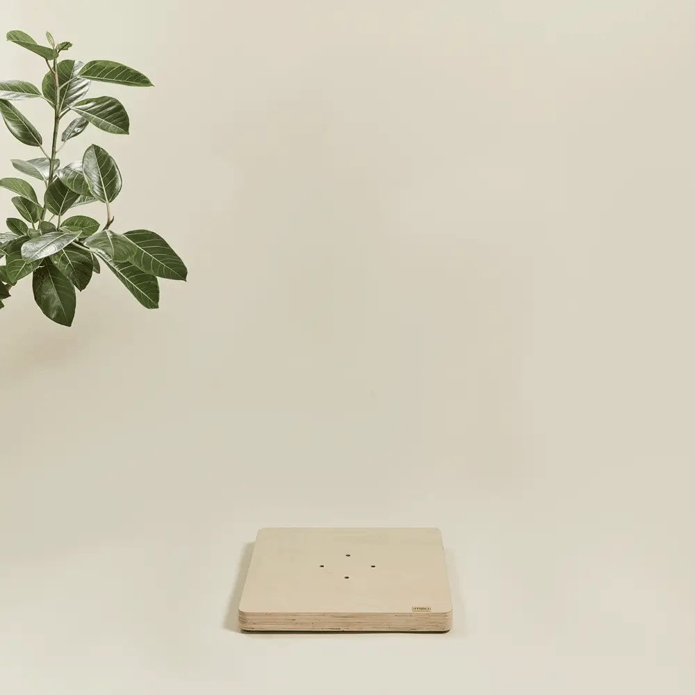 Arbre à Chat fleuri | Fortis - FéliNature